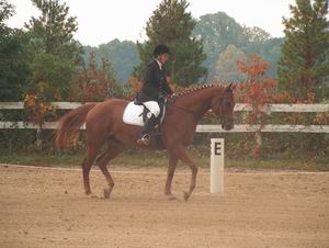 Dawn Feindt on Talisman - Champion