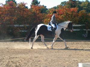 Alicia Devlin & Dudes Cash Deal - Reserve Champion