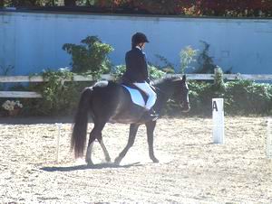 Alex Bailey on Biker Boy - Champion