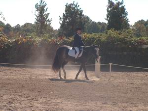 Alex Bailey on Biker Boy - Champion