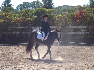 Alex Bailey on Biker Boy - Champion