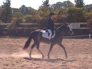 Alex Bailey on Biker Boy - Champion