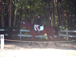 Nicole Pagliuso on My Second Son - Reserve Champion