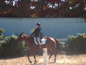Nicole Pagliuso on My Second Son - Reserve Champion