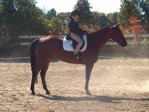 Nicole Pagliuso on My Second Son - Reserve Champion