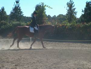 George Rickabaugh & Talisman - Reserve Champion