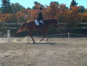 George Rickabaugh & Talisman - Reserve Champion