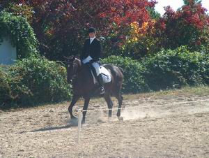 Iris Furlong & Tolstoi - Champion