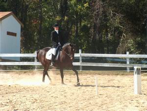 Iris Furlong & Tolstoi - Champion