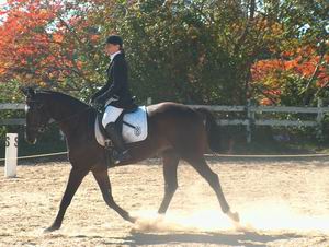 Iris Furlong & Tolstoi - Champion