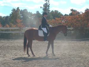 Lisa Rasmuson & Hell's Angel - 4th Place