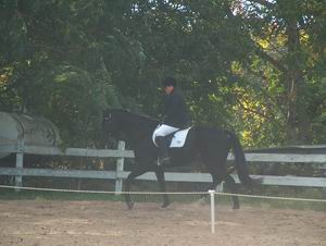 Shelley Holbrook & In Unison - Champion