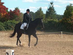 Shelley Holbrook & In Unison - Champion