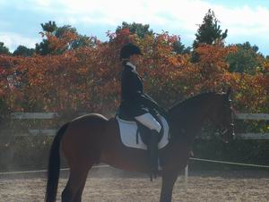 Laura Jones & Regal Wood - Champion